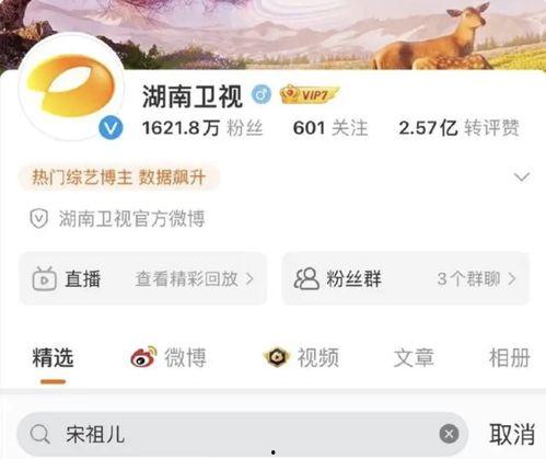 明星网红直播行业税务问题,直播经济下的明星网红税务挑战与合规指南