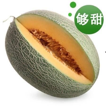 海南哈密瓜今日行情1月5日,新鲜上市，价格走俏