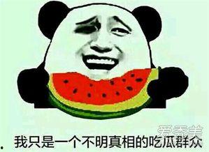 今日吃瓜的意思,揭秘娱乐圈最新热点事件